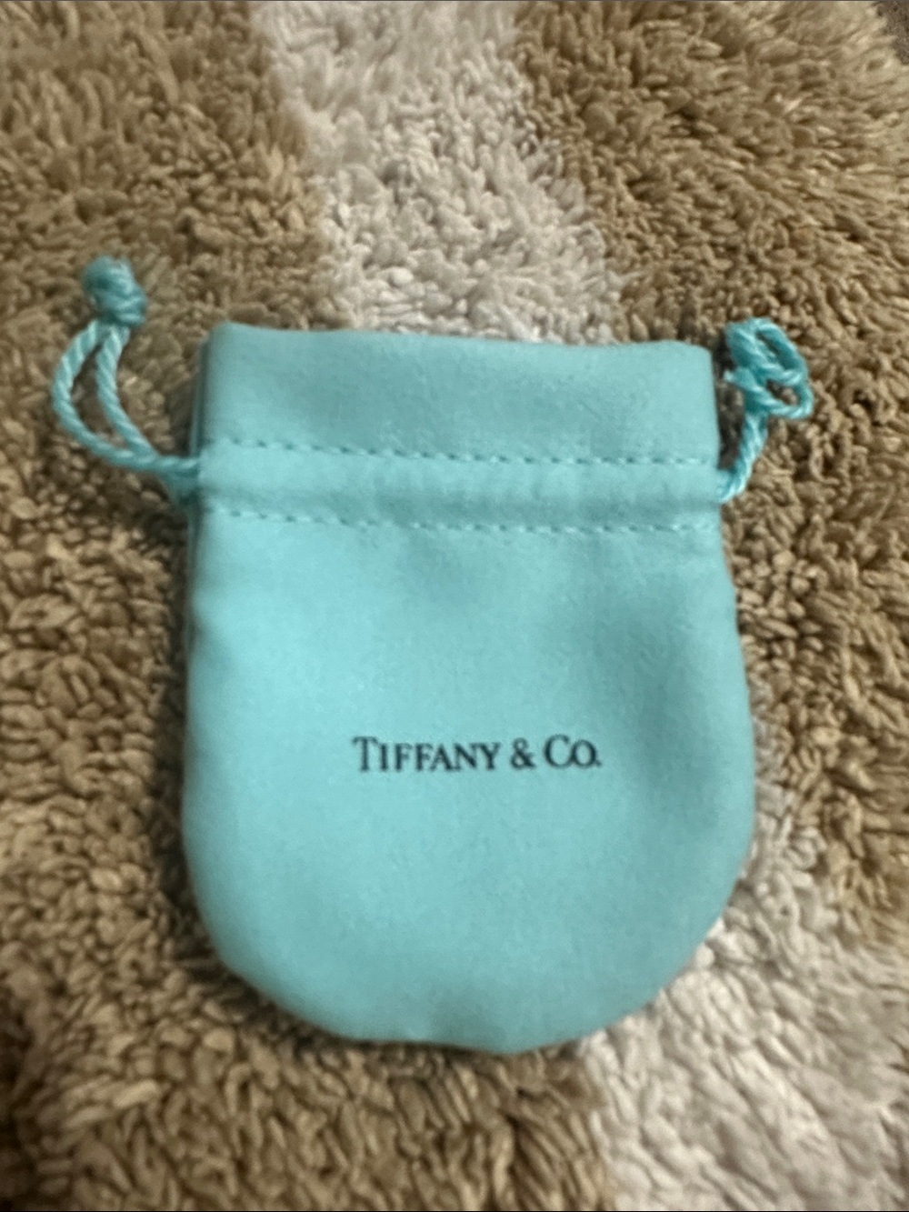 Tiffany & Co. Robin's Egg Blue Velvet Jewelry Pouch